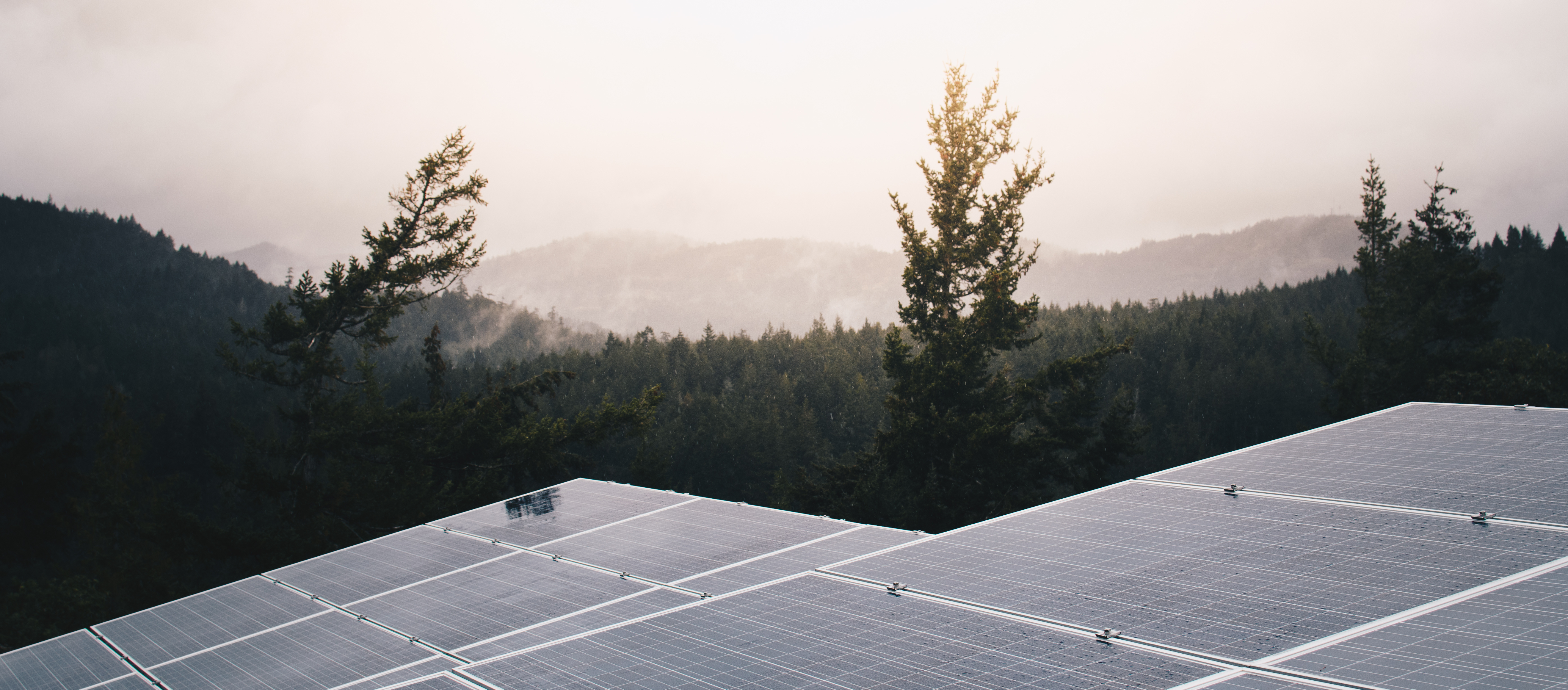 Why Half-Cut Cell Technology Improves Solar Module Performance